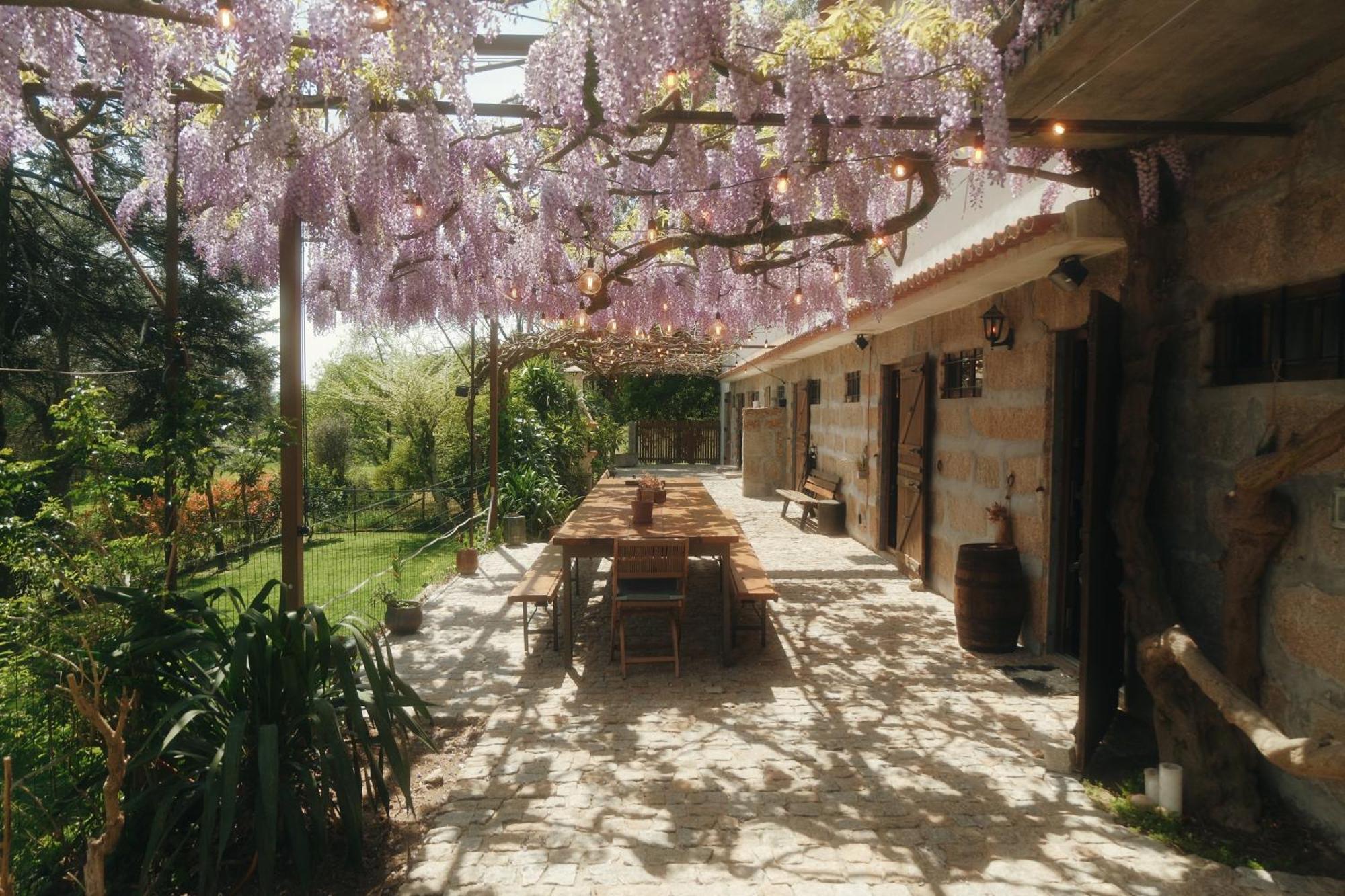 Casa Da Alvarinha Privacidade Conforto Natureza Paredes  Kültér fotó