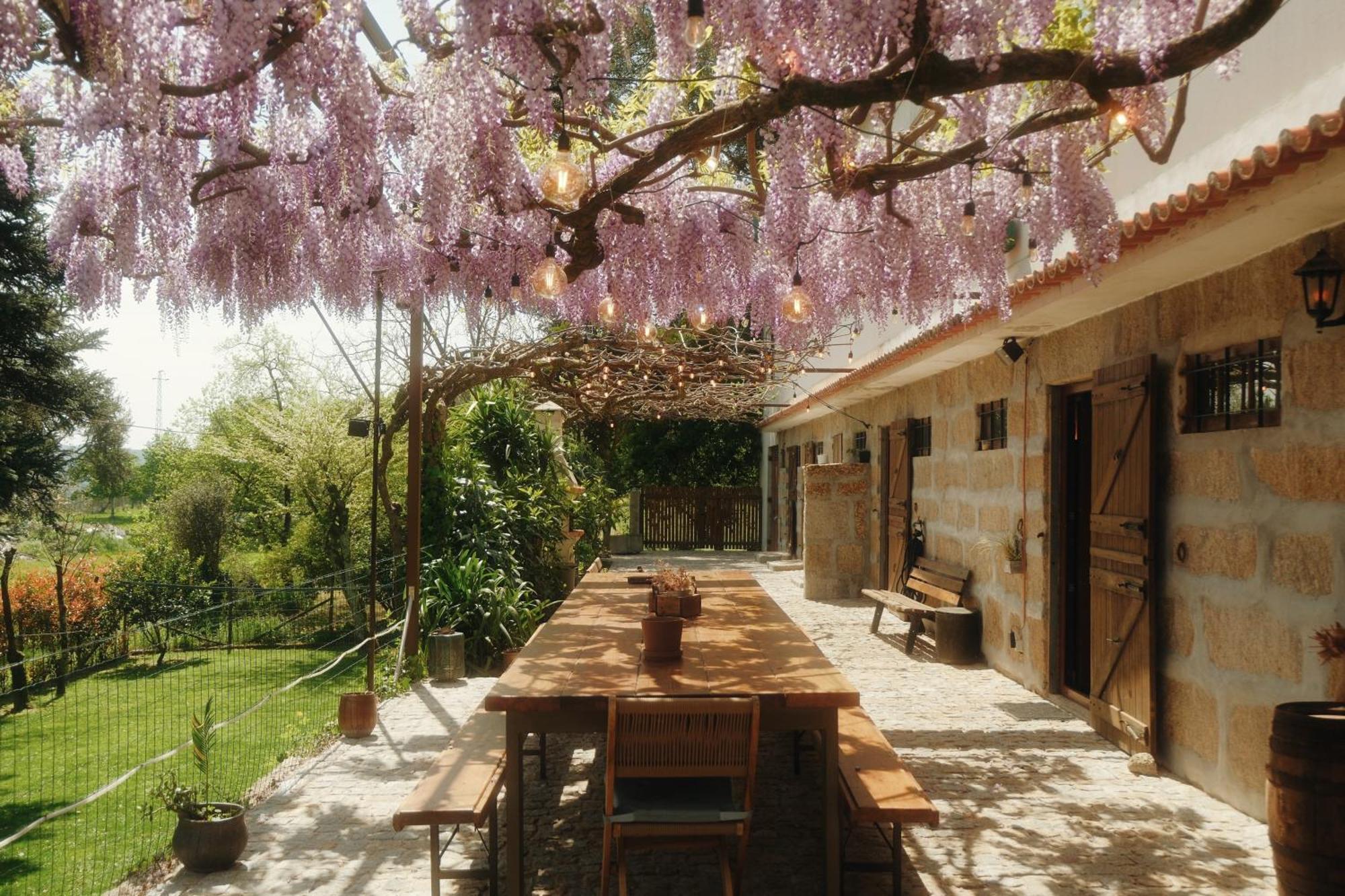 Casa Da Alvarinha Privacidade Conforto Natureza Paredes  Kültér fotó