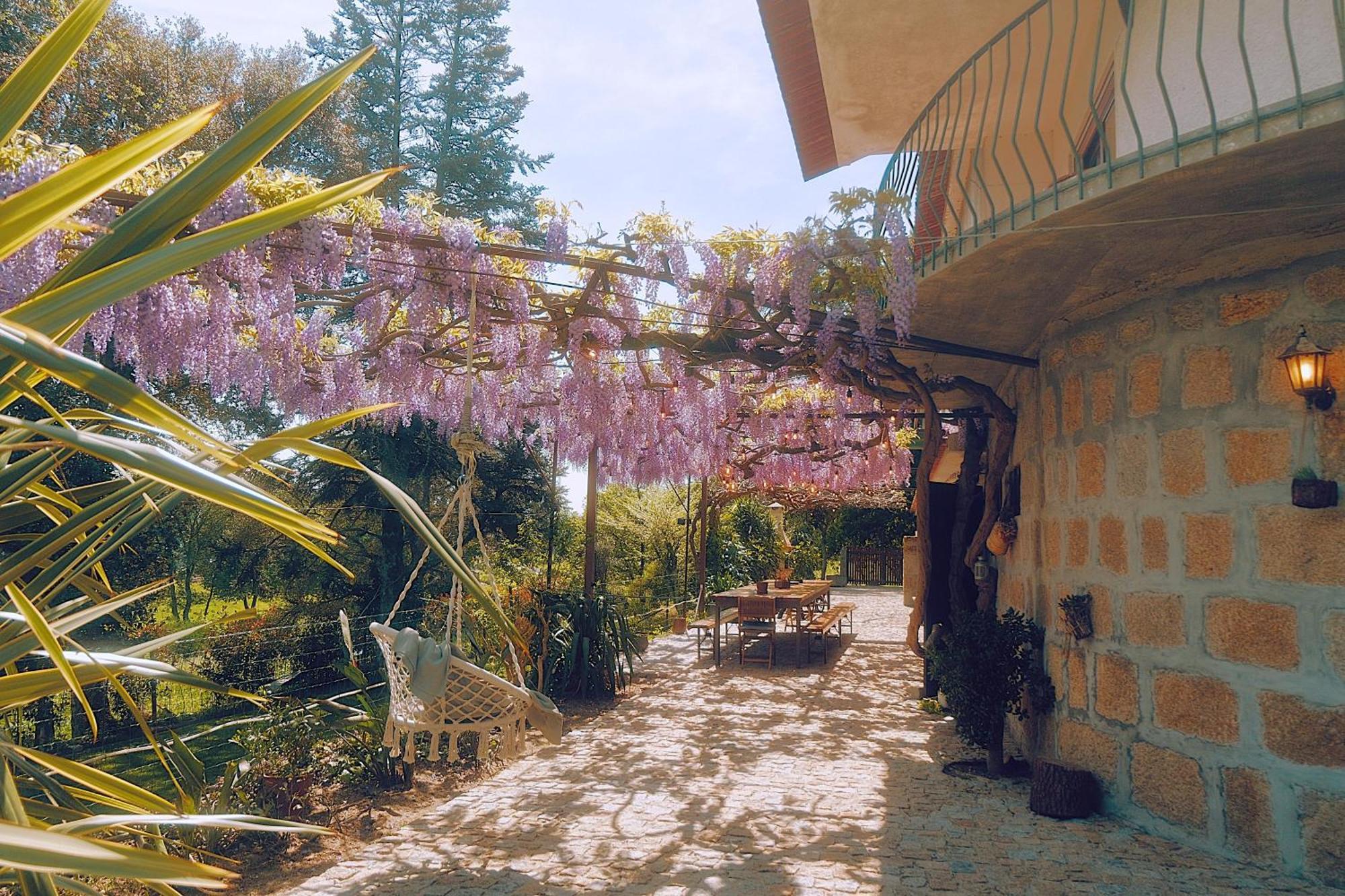 Casa Da Alvarinha Privacidade Conforto Natureza Paredes  Kültér fotó
